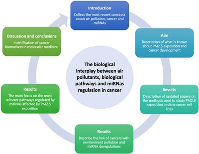 The biological interplay between air pollutants and miRNAs regulation in cancer